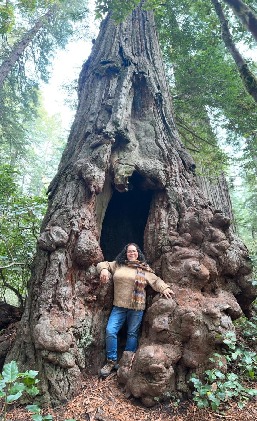 Elisabeth Elisabeth standing inside a large, gnarled tree trunk in a forest.